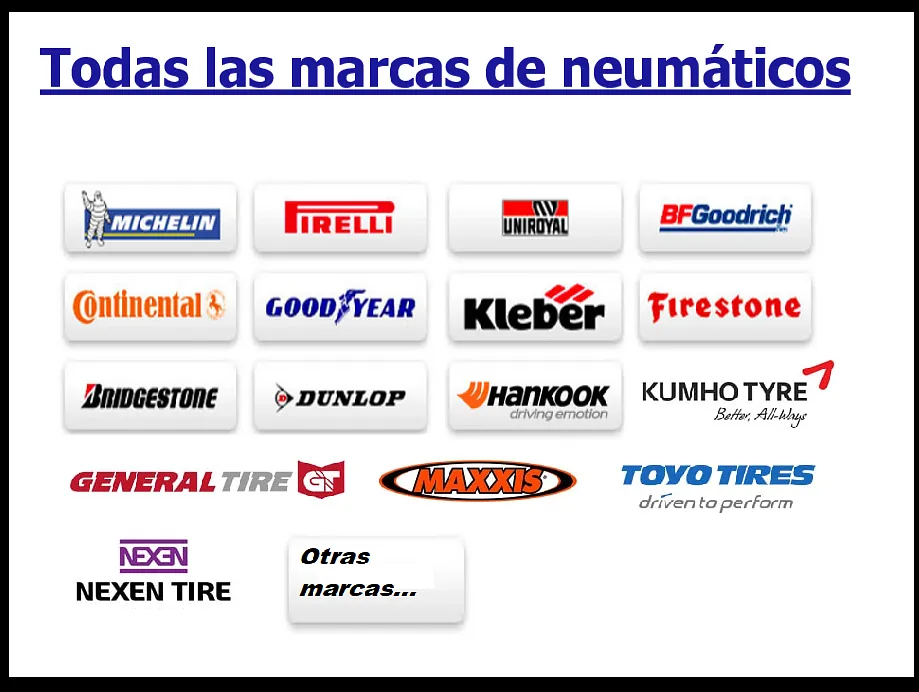 Desde el 15 de enero al 31 de diciembre 2024